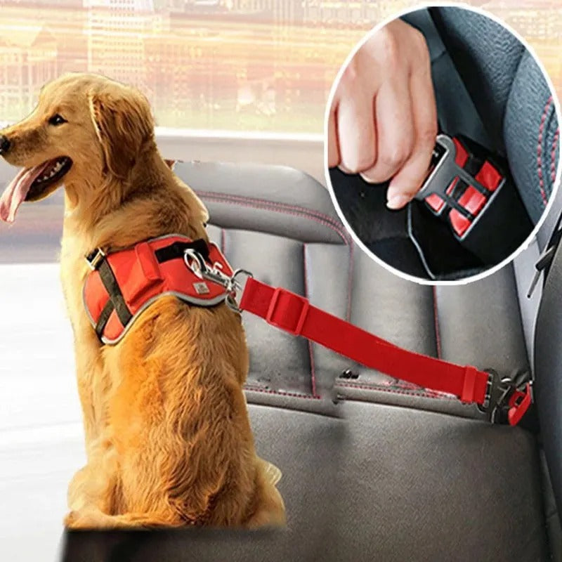 Dog secured with PawSafe Store in car
